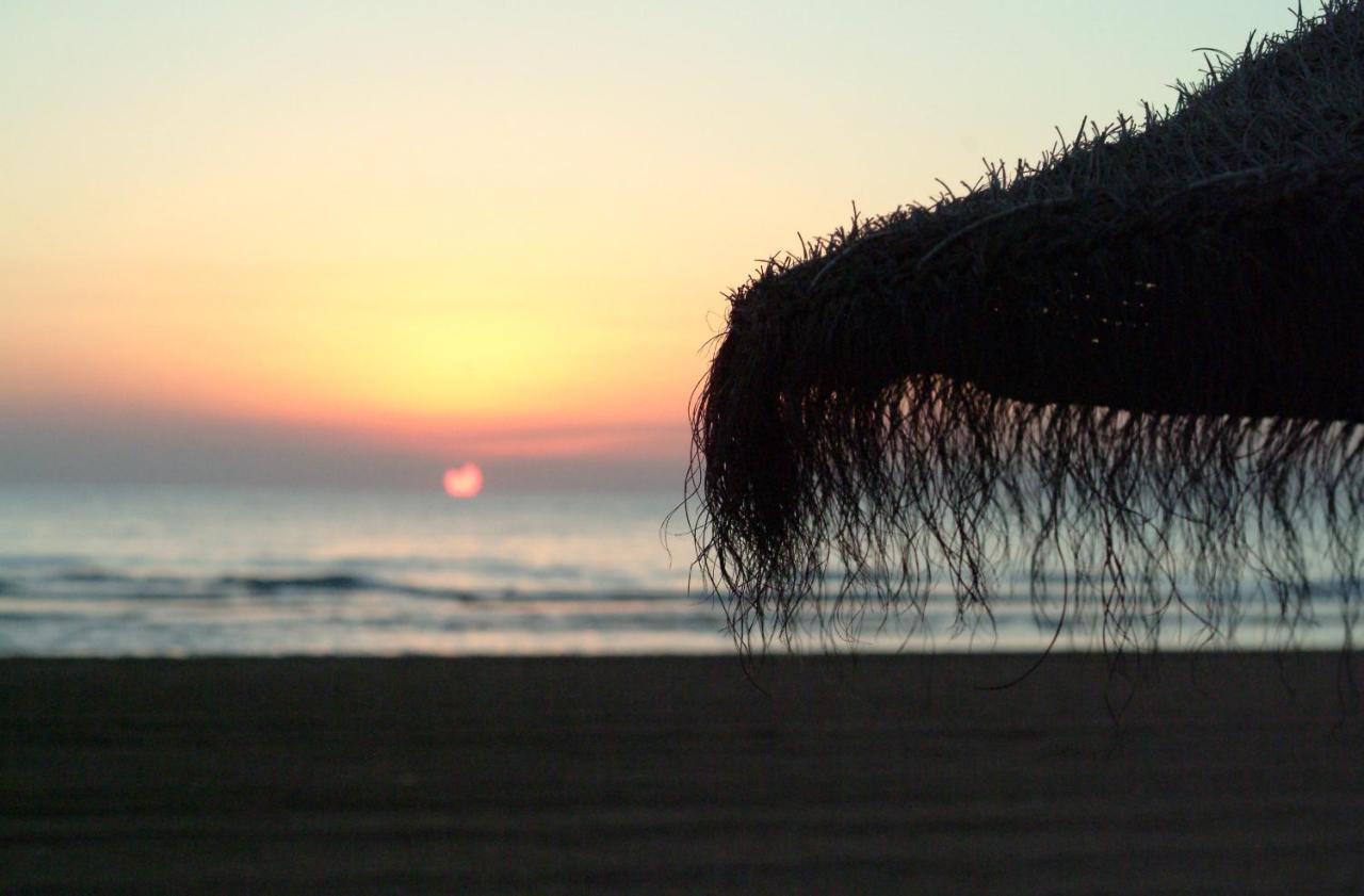 Ag Las Sirenas Playa de Gandia Esterno foto